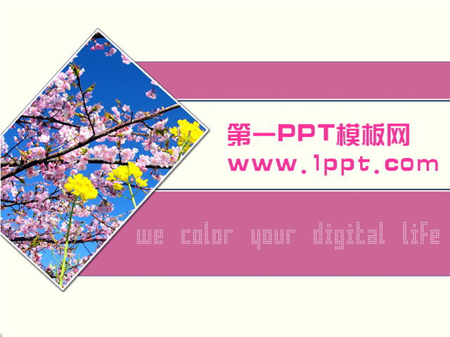 粉色桃花背景PPT模板下载