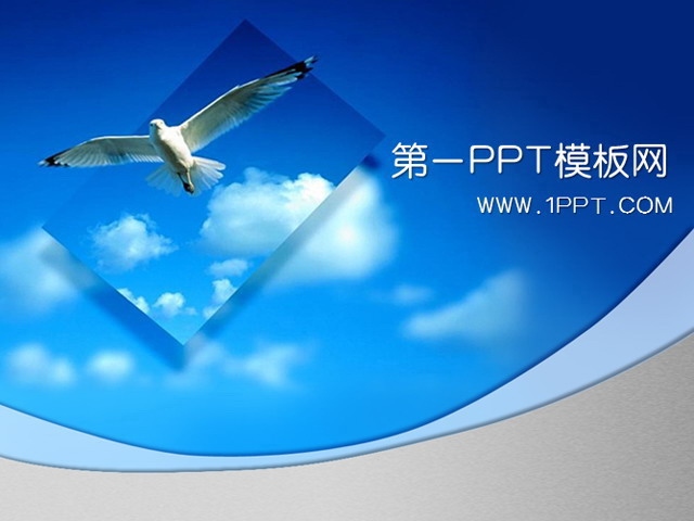 飞翔的海鸥背景PPT模板