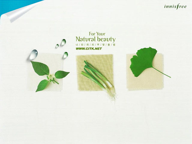 蔬菜植物背景的韩国PPT模板下载