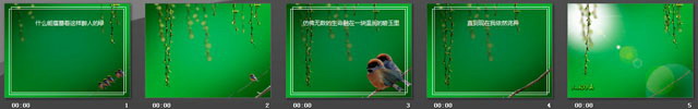 柳条麻雀背景的《翠绿》PPT模板下载