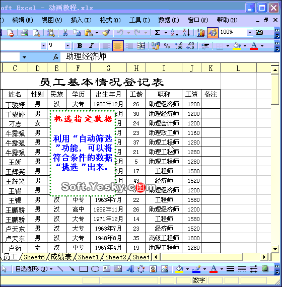 Excel2003入门教程19：Excel表格如何自动筛选
