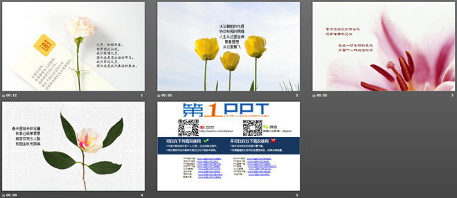 一组鲜花花卉幻灯片背景图片