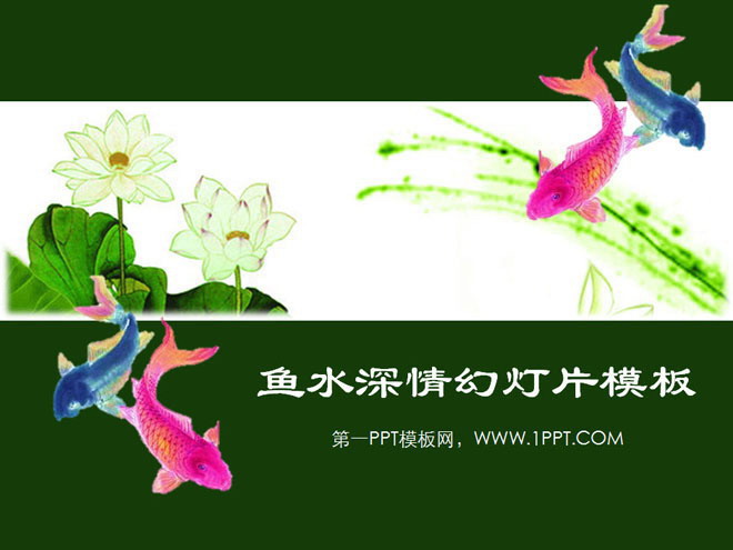 鯉魚(yú)荷花背景的中國(guó)風(fēng)幻燈片模板下載