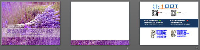 紫色浪漫薰衣草背景植物幻灯片模板下载