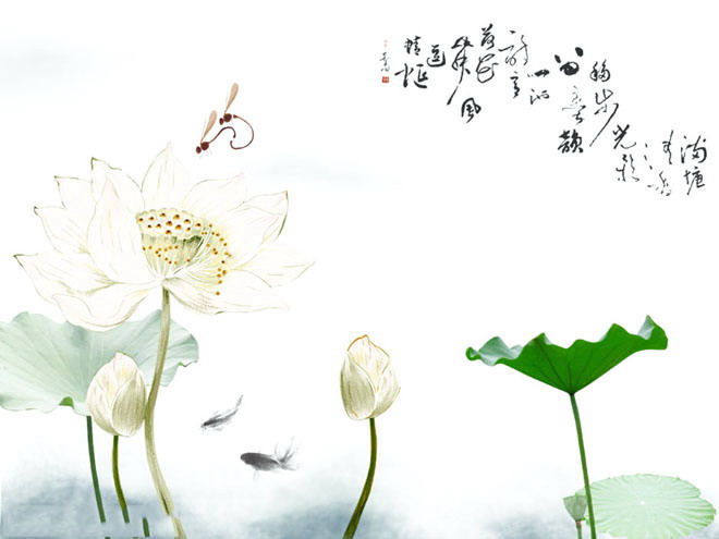淡雅蜻蜓戏荷花中国风幻灯片片背景模板