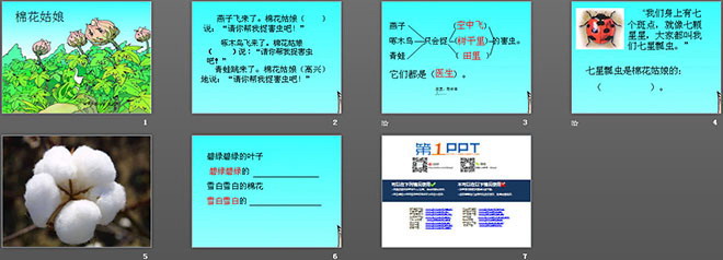 棉花姑娘PPT課件下載4