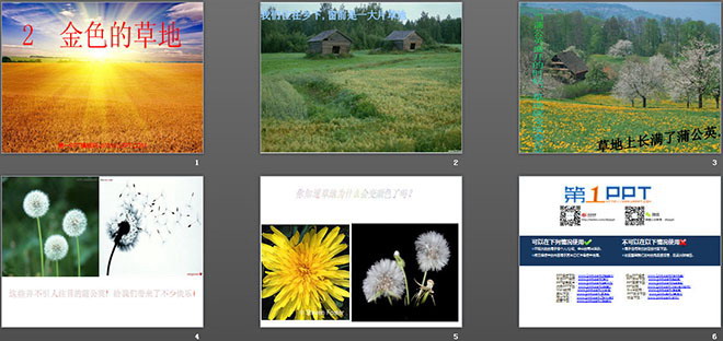 《金色的草地》PPT教學(xué)課件下載3
