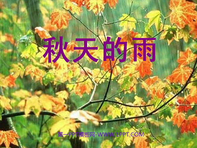 《秋天的雨》PPT教學(xué)課件下載