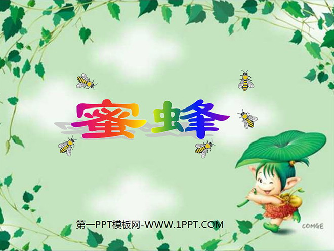 《蜜蜂》PPT教學(xué)課件下載2