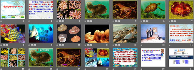 《富饒的西沙群島》PPT教學課件下載