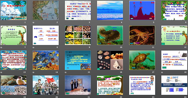 《富饒的西沙群島》PPT教學(xué)課件下載2