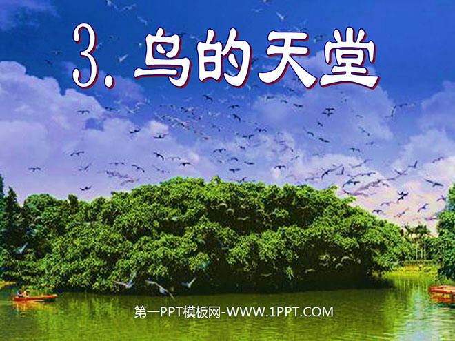 《鸟的天堂》PPT教学课件下载2
