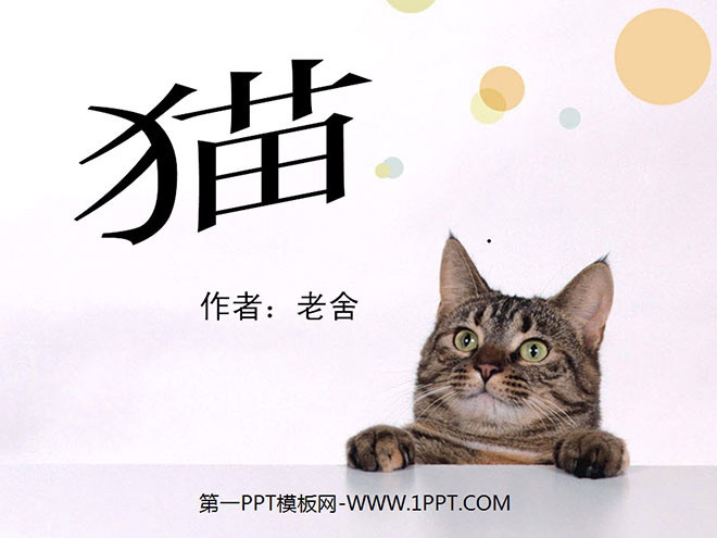 《猫》PPT课件下载
