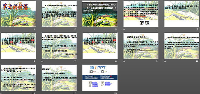 《草蟲(chóng)的村落》PPT課件下載3