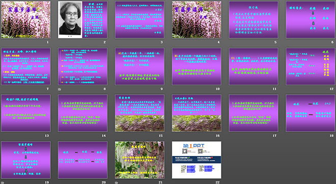 《紫藤蘿瀑布》PPT課件