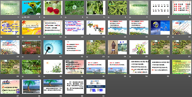 《植物媽媽有辦法》PPT教學(xué)課件下載4
