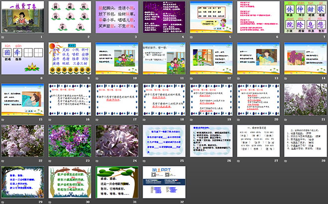《一株紫丁香》PPT教學(xué)課件下載3