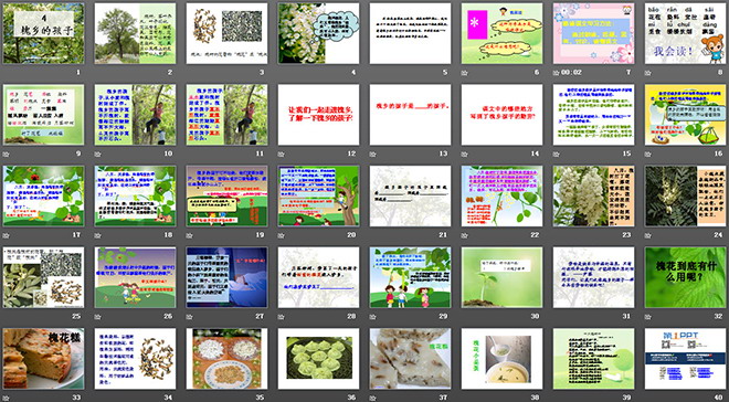 《槐鄉(xiāng)的孩子》PPT教學課件下載4