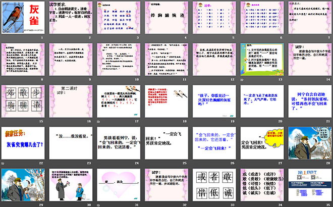 《灰雀》PPT教學(xué)課件下載4