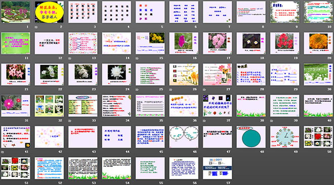 《花鐘》PPT教學(xué)課件下載3