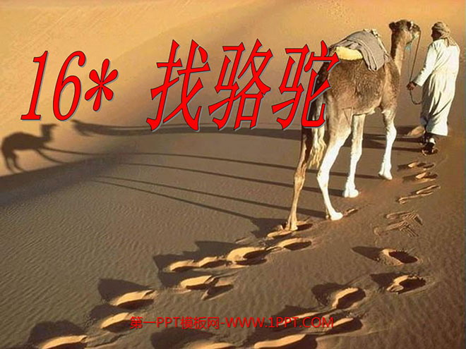 《找骆驼》PPT教学课件下载5