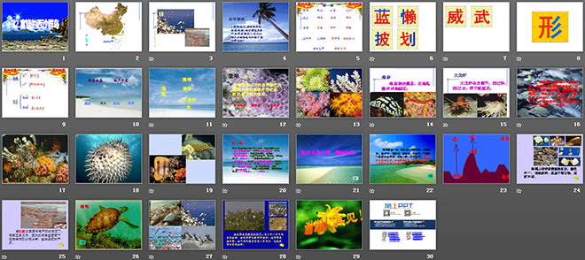 《富饒的西沙群島》PPT教學(xué)課件下載4