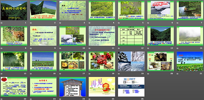 《美麗的小興安嶺》PPT教學(xué)課件下載4