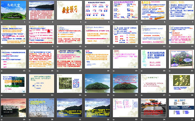 《鳥的天堂》PPT教學(xué)課件下載4
