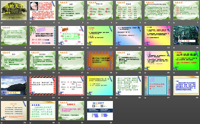《鳥的天堂》PPT教學(xué)課件下載5