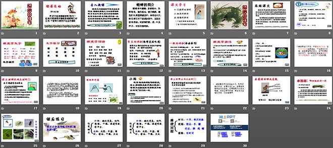 《蟋蟀的住宅》ppt教學(xué)課件下載6