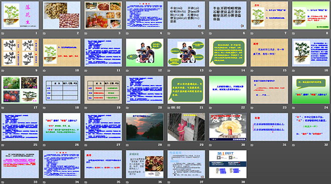 《落花生》PPT課件下載6