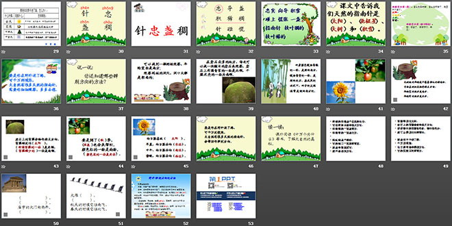 《要是你在野外迷了路》PPT課件3