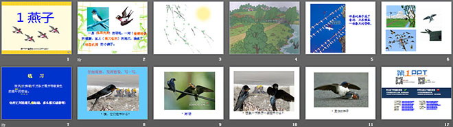 《燕子》PPT課件3