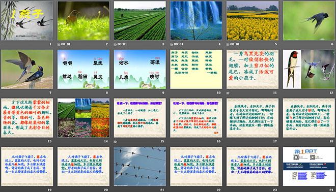 《燕子》PPT課件5
