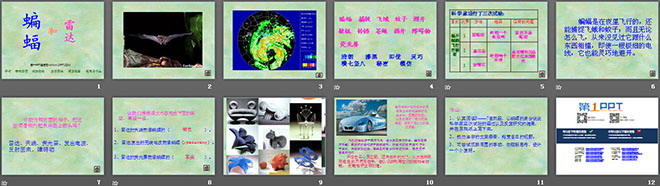 《蝙蝠和雷達(dá)》PPT課件2