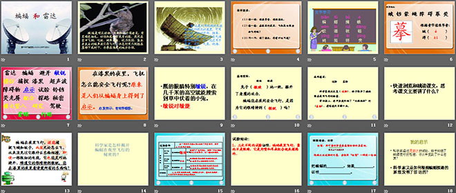 《蝙蝠和雷達》PPT課件5