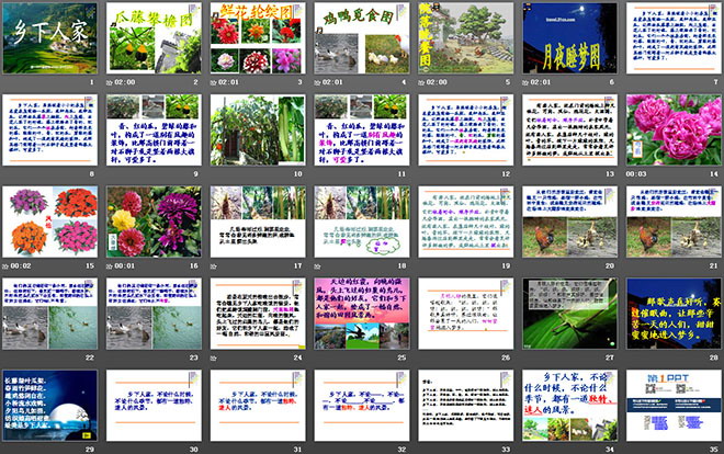 《鄉(xiāng)下人家》PPT課件4
