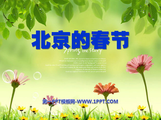 《北京的春节》PPT课件