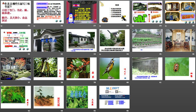 《從百草園到三味書(shū)屋》PPT課件4