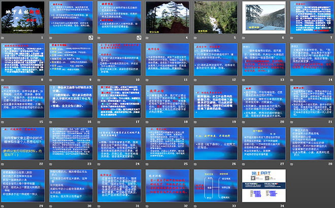 《地下森林?jǐn)嘞搿稰PT課件