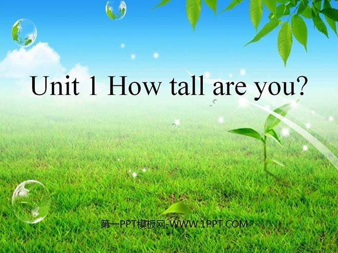 《How Tall Are You》PPT课件