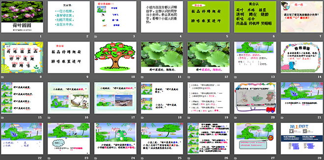 《荷葉圓圓》PPT課件3