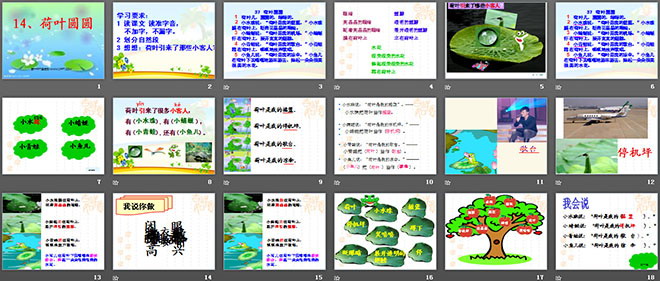 《荷葉圓圓》PPT課件4