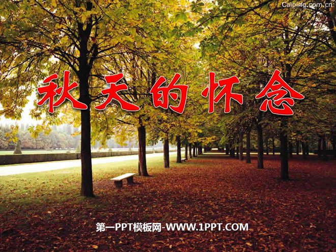 《秋天的怀念》PPT课件3