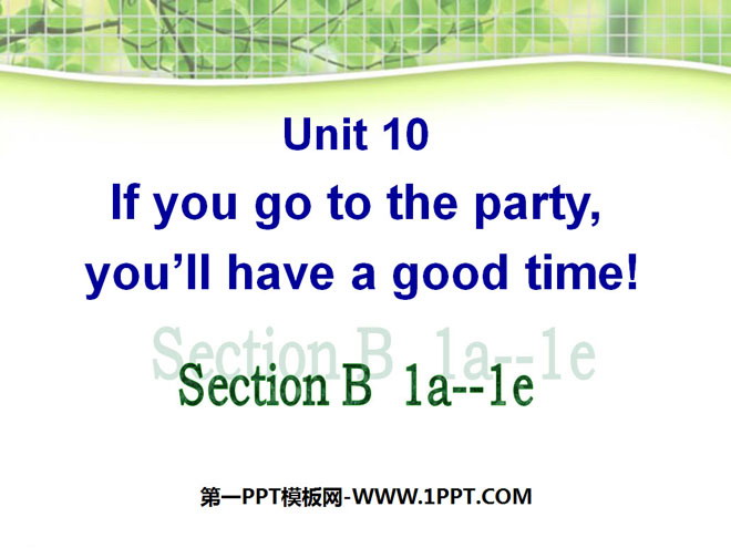 《If you go to the party you'll have a great time!》PPT课件15