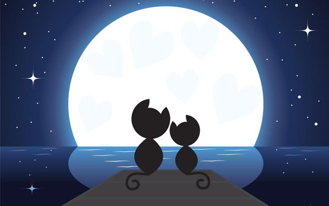 月光下的两只小猫PPT背景图片