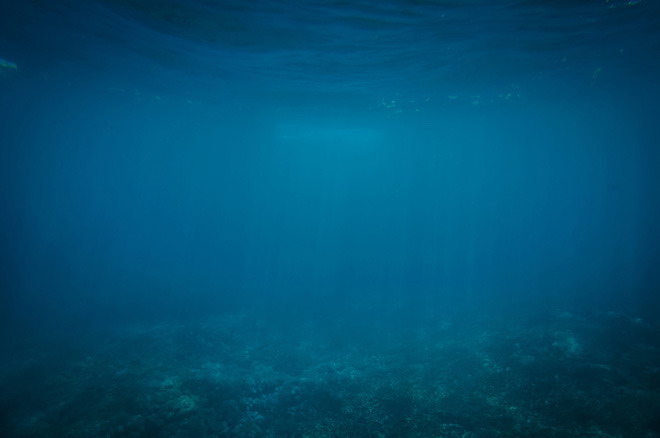 蓝色海底世界简洁PPT背景图片