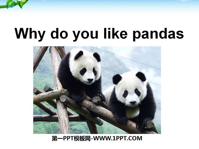 《Why do you like pandas?》PPT课件2