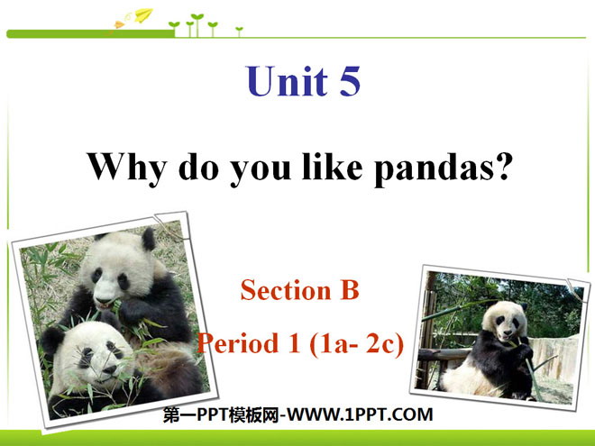 《Why do you like pandas?》PPT课件5