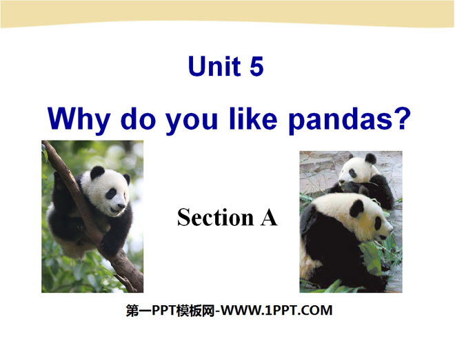 《Why do you like pandas?》PPT课件6
